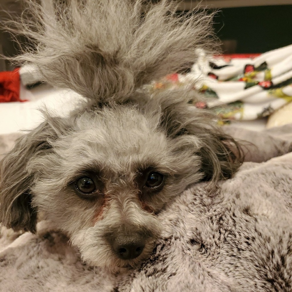 Meet your Posher, Jon